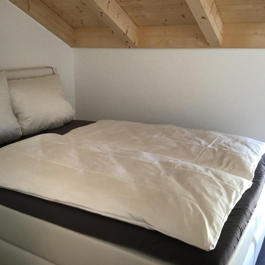 Vista-Apartments Ebersbach  Εξωτερικό φωτογραφία